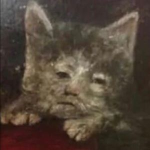 Meet your Posher, Mark